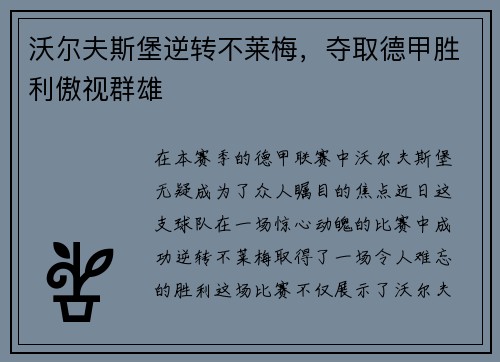 沃尔夫斯堡逆转不莱梅，夺取德甲胜利傲视群雄